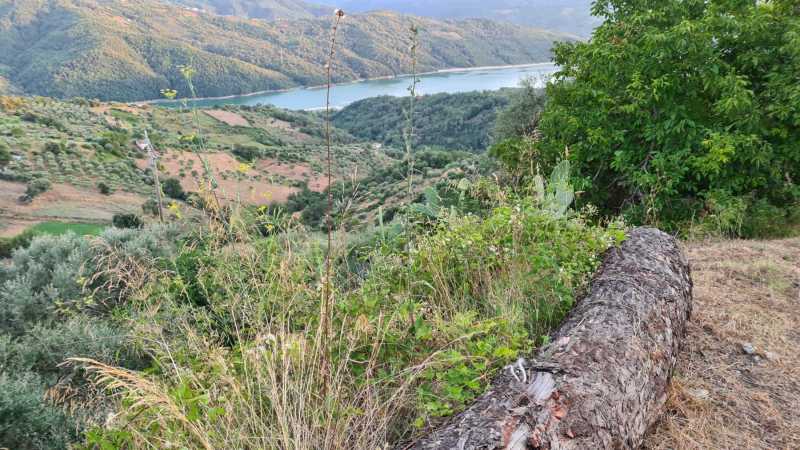 cicerale ed i proverbi cilentani