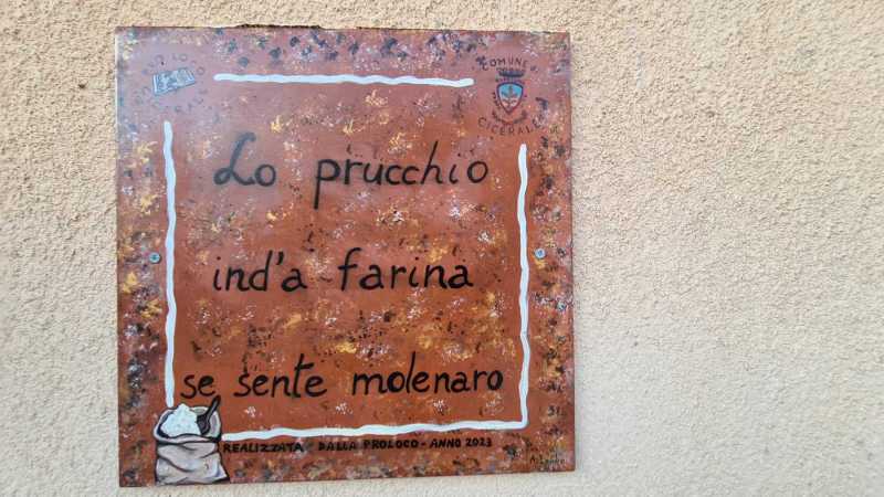 cicerale ed i proverbi cilentani