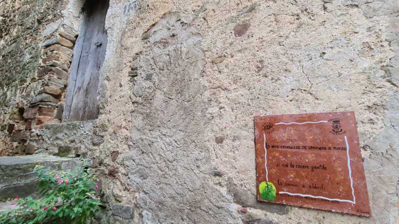 cicerale ed i proverbi cilentani