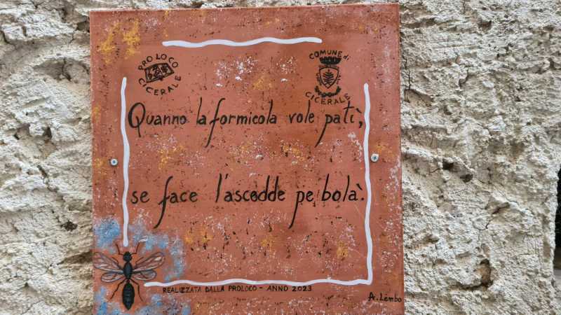 cicerale ed i proverbi cilentani