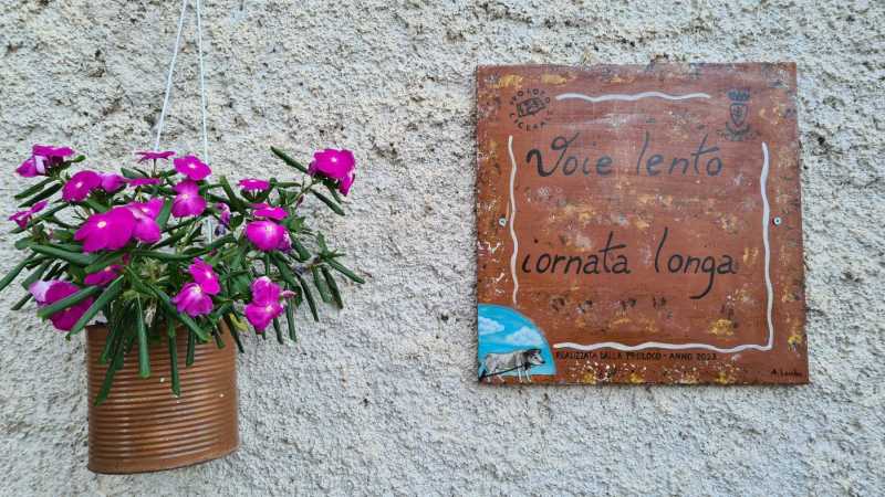 cicerale ed i proverbi cilentani