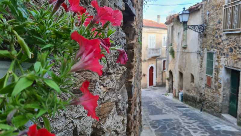 cicerale ed i proverbi cilentani