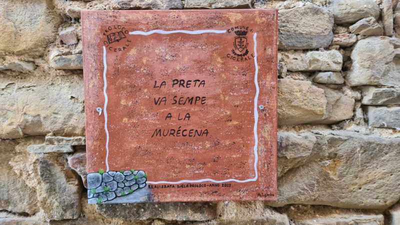 WhatsApp-Image-2023-08-09-at-19.02.292