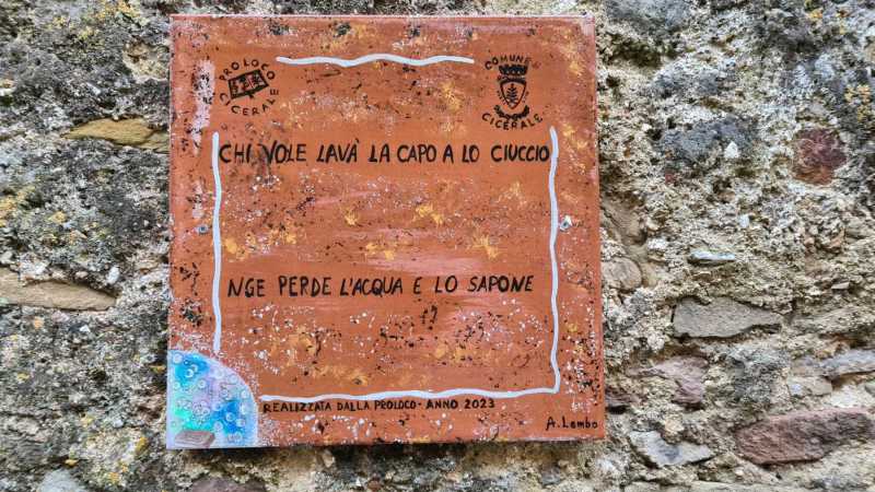 WhatsApp-Image-2023-08-09-at-19.02.293