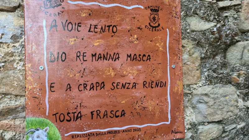 WhatsApp-Image-2023-08-09-at-19.02.294