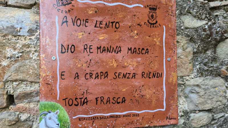 WhatsApp-Image-2023-08-09-at-19.02.295