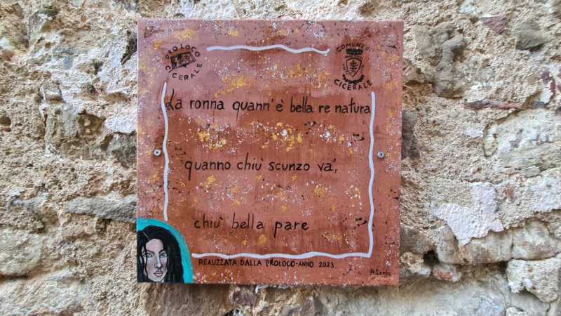 WhatsApp-Image-2023-08-09-at-19.02.301