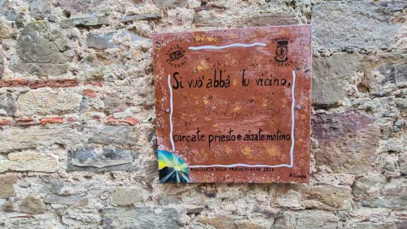 WhatsApp-Image-2023-08-09-at-19.02.303