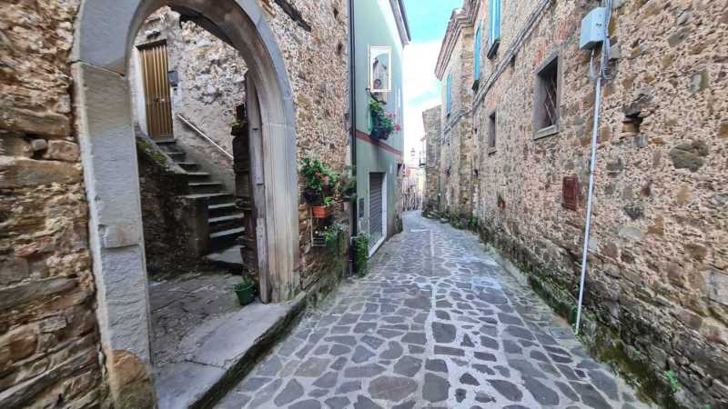 WhatsApp-Image-2023-08-09-at-19.02.31