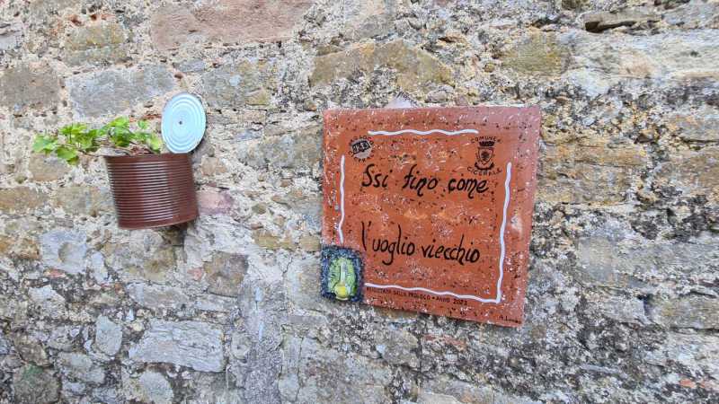 WhatsApp-Image-2023-08-09-at-19.02.311