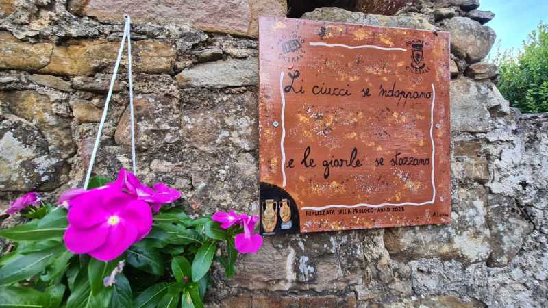 WhatsApp-Image-2023-08-09-at-19.02.312