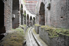 cilentano.it-anfiteatro-santa-maria-capua-vetereDSC_0091