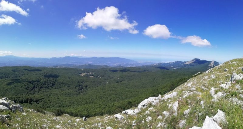 105491921_4062333437142390_7719162890184314001_n