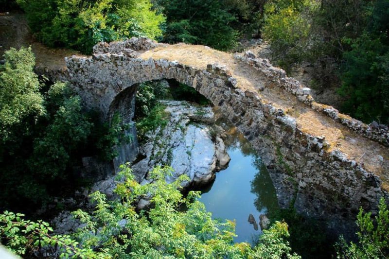 99091364_129199138777933_4131324171529486336_n