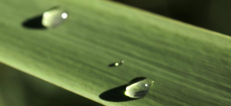 io-e-te-guido-santangelo