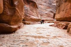 stone paved Al Siq passage to ancient Petra city