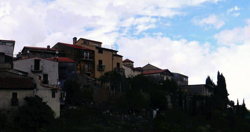 bosco