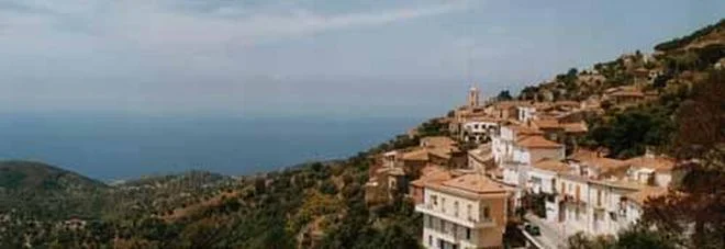 3312189 2005 sessacilento