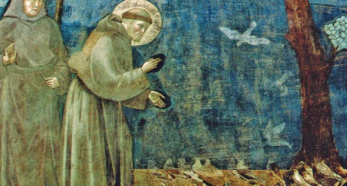 giotto san francesco