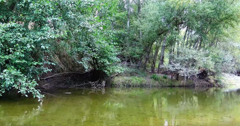 La storia del fiume Mingardo - video mingardo 1024x538 - La storia del fiume Mingardo - video