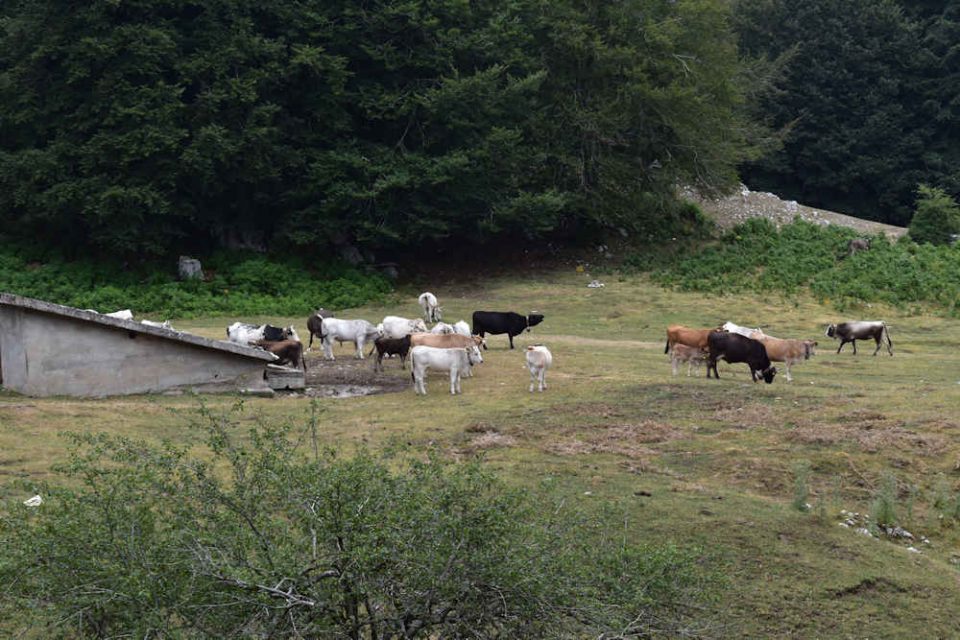 rifugio2