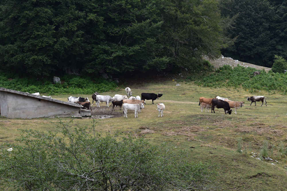 rifugio2