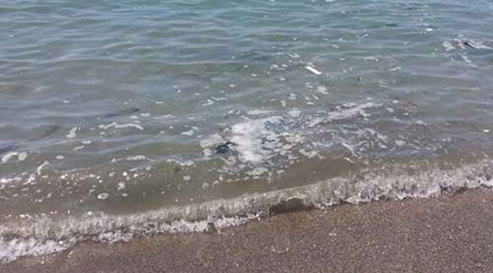 maresalerno