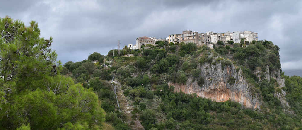 camerota