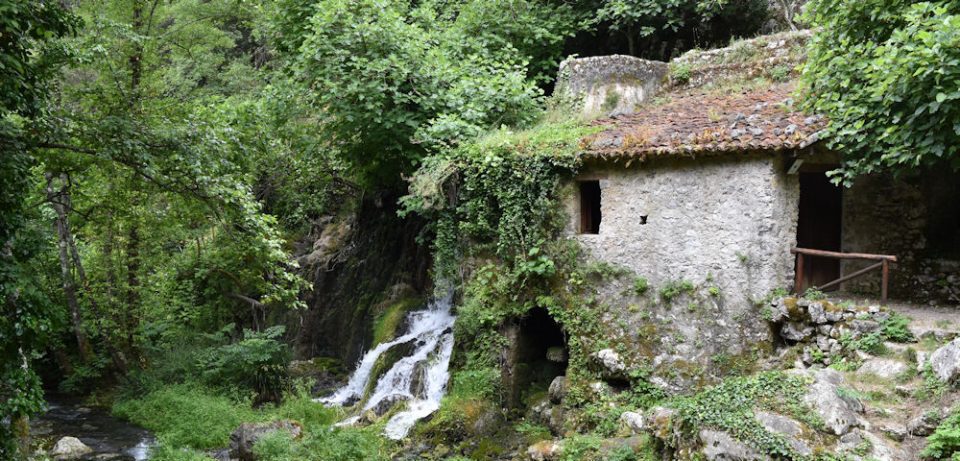 morigerati