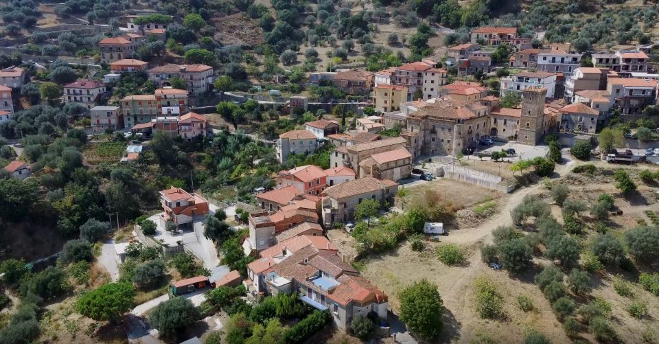 ortodonico