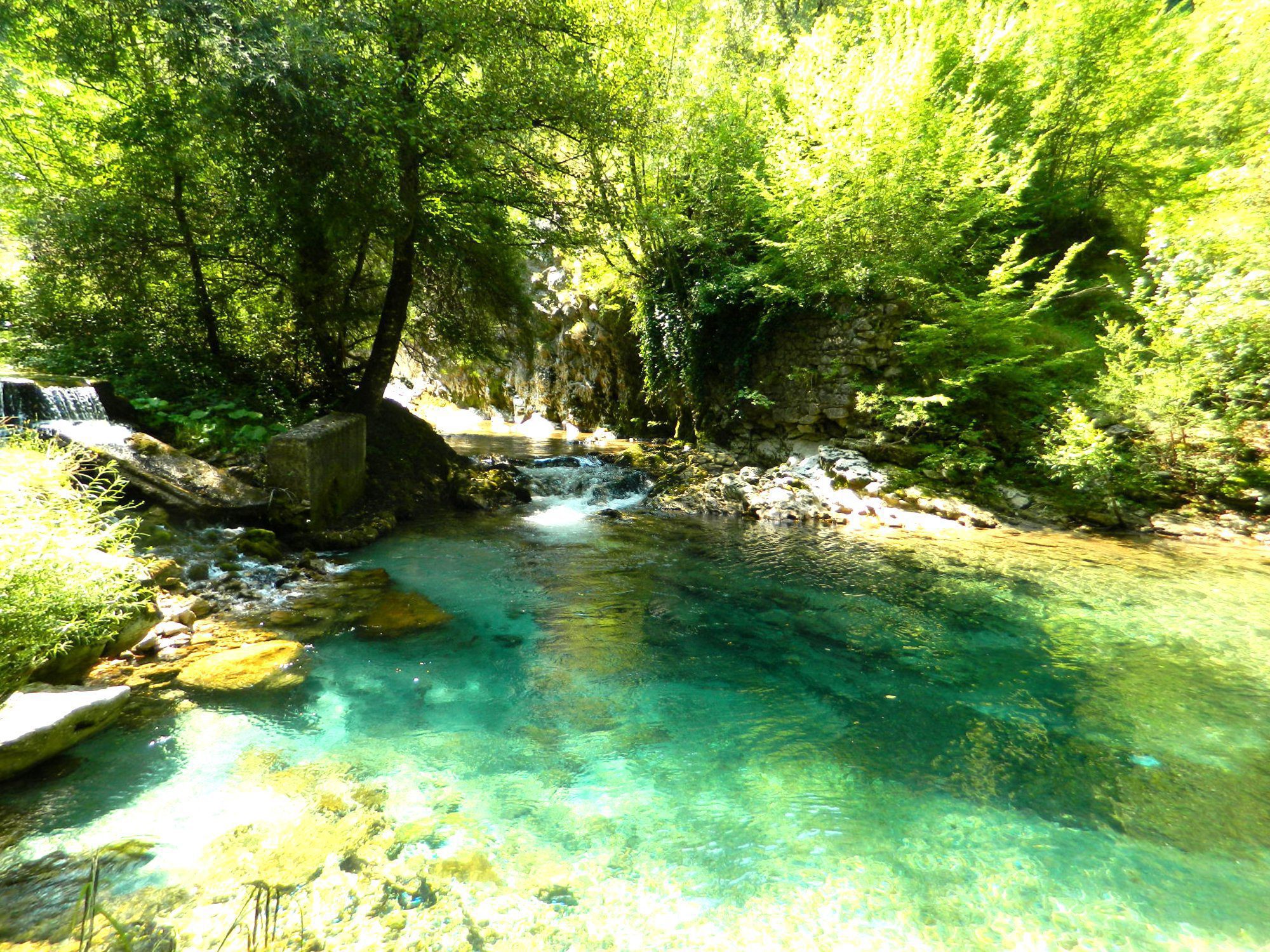 Il Parco Nazionale Del Cilento Diano Ed Alburni Non E Lo Zoo Di Napoli 