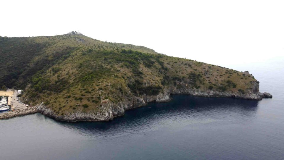 capopalinuro