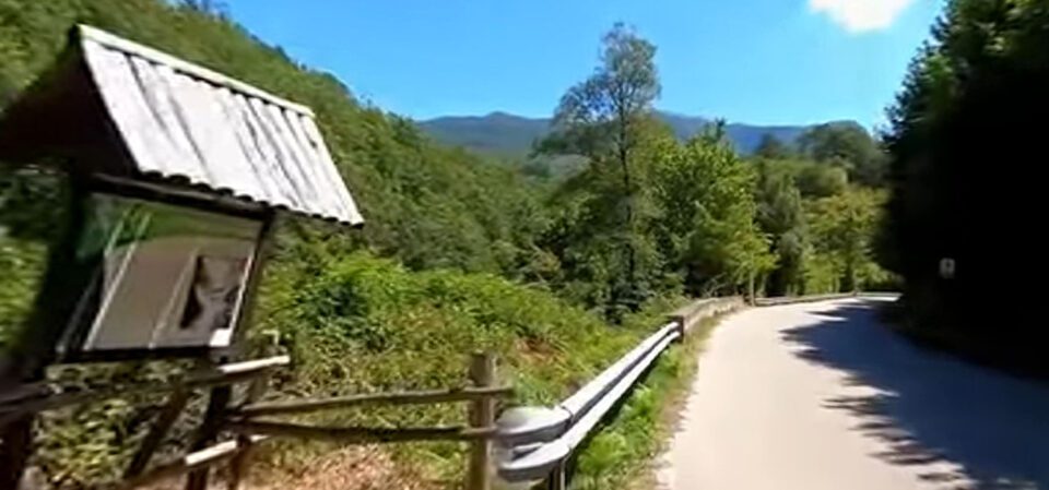 emmisi