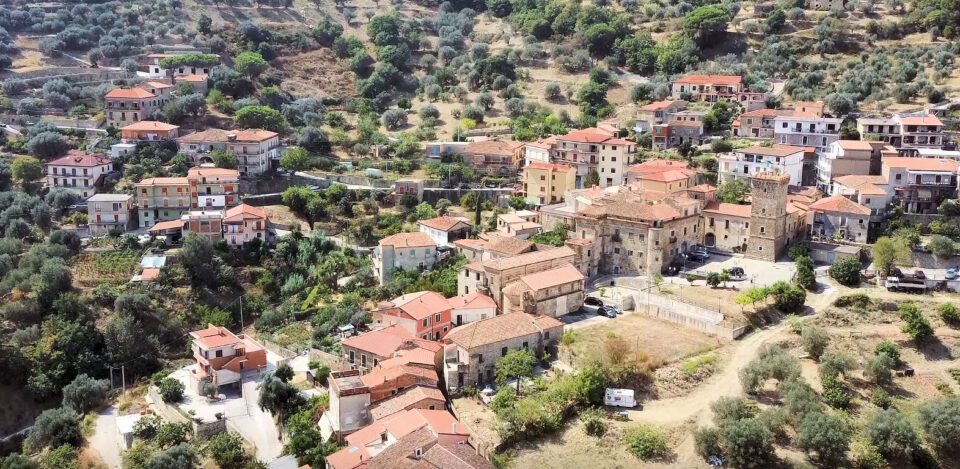 ortodonico