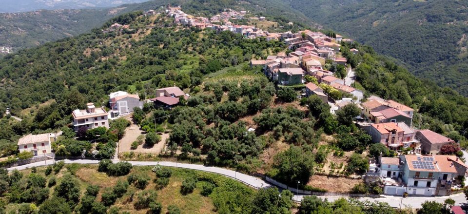 perito
