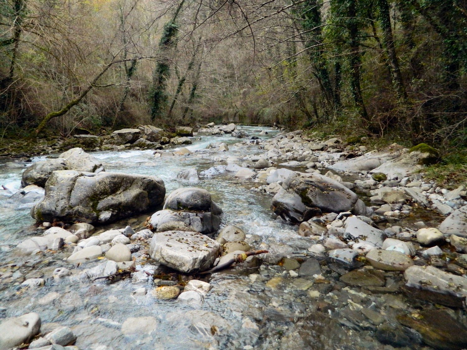ROFRANO