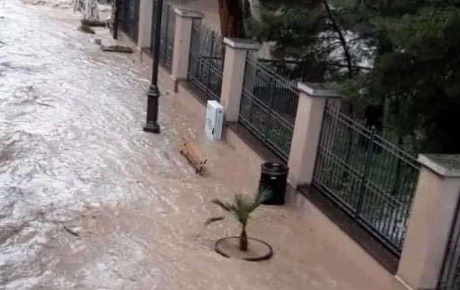 CASTELLABATE ALLUVIONE