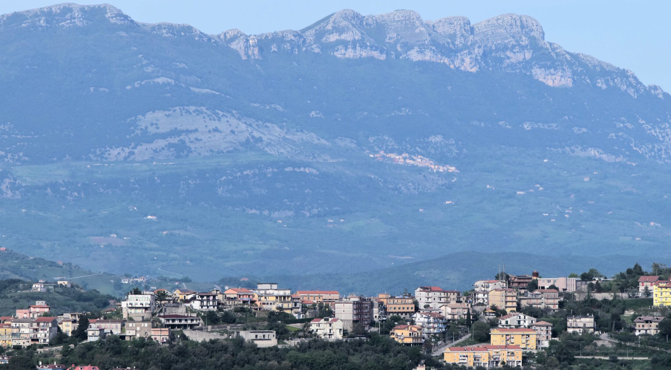 alburni