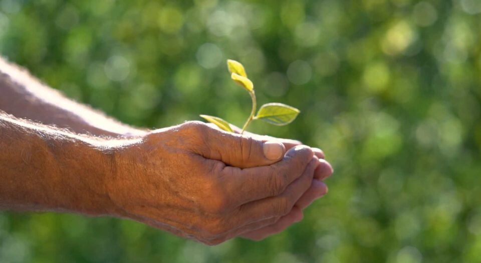 guido santangelo il contadino