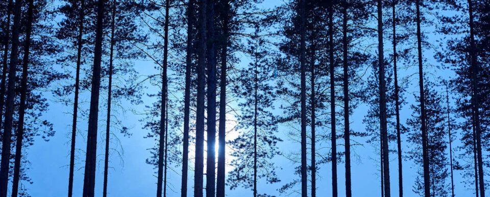 o luna di guido santangelo