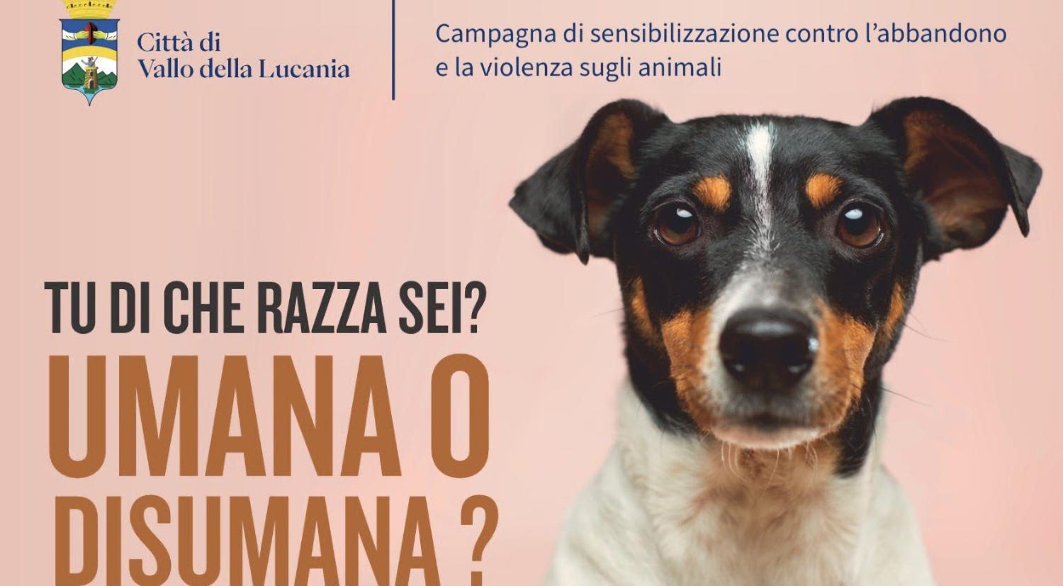 campagna