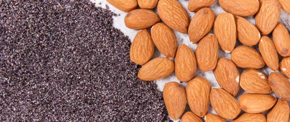 calcio head cilentanoit