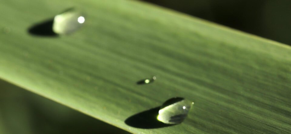 io e te guido santangelo