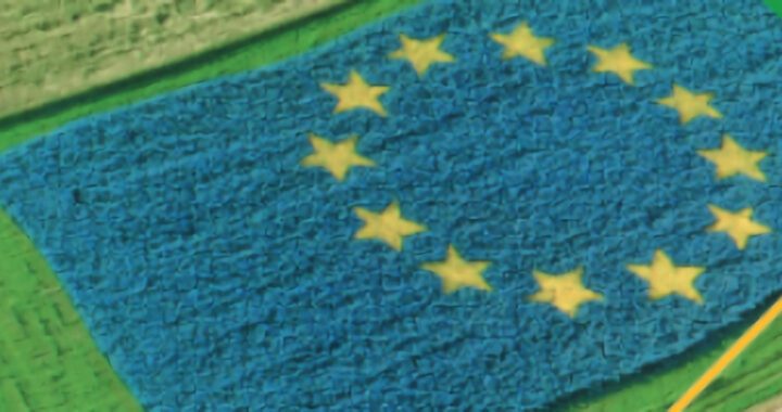 Sessa Cilento, incotro sul “futuro dell’agricoltura del territorio” – 24/3/23