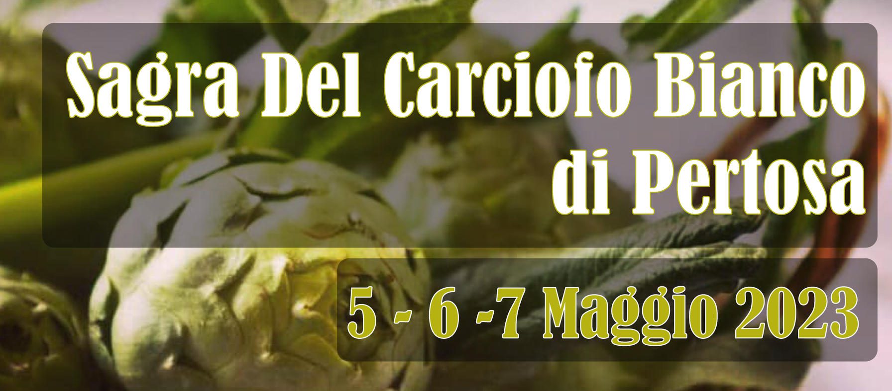 sagra carciofo bianco di pertosa