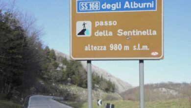 345234881 755969149330434 7962203189462980353 n