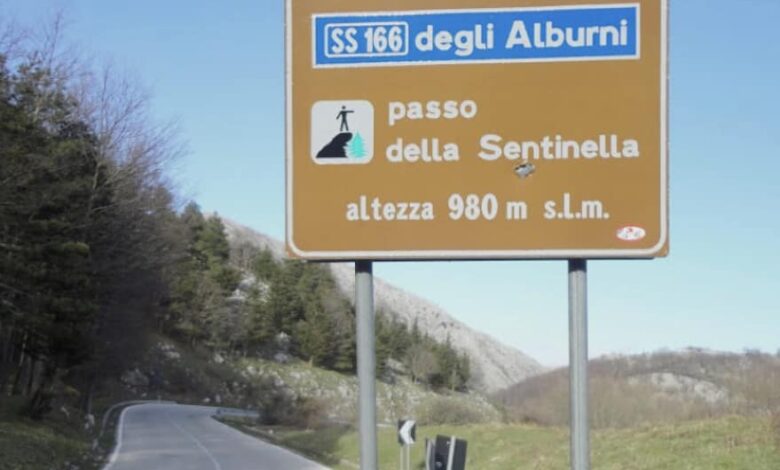 345234881 755969149330434 7962203189462980353 n