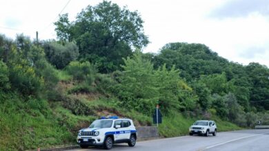 347406170 2901546759979520 8016946690232941487 n