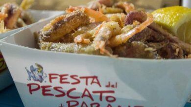 60805337 1741833045919782 576226521966968832 n