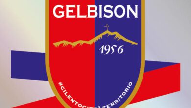 gelbison
